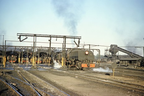 National Railways of Zimbabwe Garratt steam locomotive no. 735 approaches the water column in the yard at Bulawayo, Zimbabwe, on August 1, 1991. Photograph by Fred M. Springer, © 2014, Center for Railroad Photography and Art. Springer-Hedjaz-ZimZam(1)-18-30