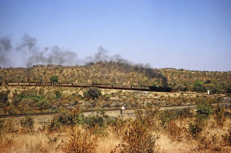 A wide shot of a sweeping curve along the National Railways of Zimbabwe, where Garratt steam locomotive no. 608 pulls a passenger train in Mbalabala, Matabeleland, Zimbabwe, in August of 1991. Photograph by Fred M. Springer, © 2014, Center for Railroad Photography and Art Springer-Hedjaz-ZimZam(1)-20-24