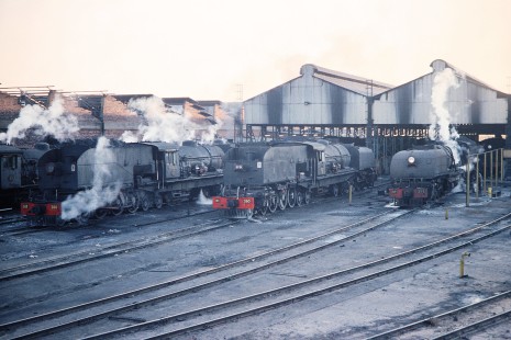 Four National Railways of Zimbabwe Garratt steam locomotives (visible nos. 510, 380, 390, and 371) by the engine shed in Bulawayo, Zimbabwe, on August 1, 1991. Photograph by Fred M. Springer, © 2014, Center for Railroad Photography and Art. Springer-Hedjaz-ZimZam(1)-17-04