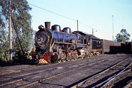 A portrait of a 2-10-2 steam locomotive no. 209 as it approaches Tubarao, Brazil, on October 28, 1990. Photograph by Fred M. Springer, © 2014, Center for Railroad Photography and Art. Springer-PA-BR-SOAM-ME-ARG2-02-04