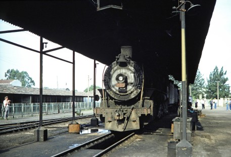 Rede Ferroviária Federal S.A. 2-10-2 steam locomotive no. 201 and photographers during a tour of the Tubarao Shops in Tubarao, Santa Catarina, Brazil, on October 29, 1990. Photograph by Fred M. Springer, © 2014, Center for Railroad Photography and Art. Springer-PA-BR-SOAM-ME-ARG2-05-38