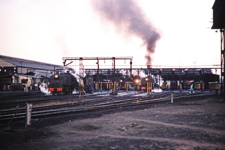 Many Garratt steam locomotives move in and out of the engine shed in Bulawayo, Zimbabwe, on August 1, 1991. Photograph by Fred M. Springer, © 2014, Center for Railroad Photography and Art. Springer-Hedjaz-ZimZam(1)-17-19