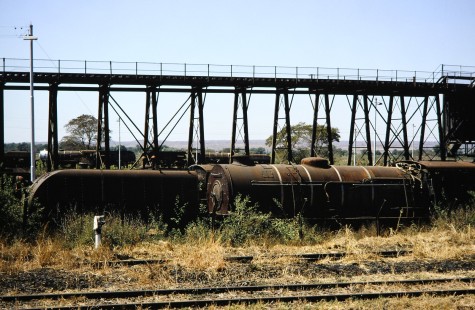 Garratt steam locomotives at coaling dock in Livingstone, Southern Province, Zambia on August 8, 1991. Photograph by Fred M. Springer, © 2014, Center for Railroad Photography and Art. Springer-ZimZam(2)-Swiss-20-33
