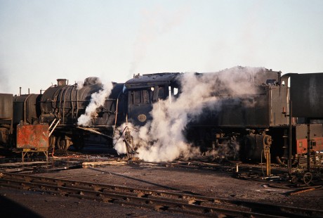 A side view of National Railways of Zimbabwe Garratt steam locomotive no. 501 in Bulawayo, Zimbabwe, on August 1, 1991. Photograph by Fred M. Springer, © 2014, Center for Railroad Photography and Art. Springer-Hedjaz-ZimZam(1)-18-38