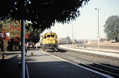 National Railways of Zimbabwe diesel locomotive no. 1031 leads a passenger train up to the platform and several waiting passengers in Victoria Falls, Zimbabwe on August 9, 1991. Photograph by Fred M. Springer, © 2014, Center for Railroad Photography and Art. Springer-ZimZam(2)-Swiss-22-24