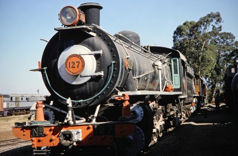 A close-up of steam locomotive no. 127 in Bulawayo, Zimbabwe, on August 1, 1991, built in 1917 by the Montreal Locomotive Works Ltd. Photograph by Fred M. Springer, © 2014, Center for Railroad Photography and Art. Springer-Hedjaz-ZimZam(1)-18-08