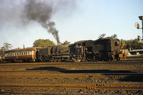 National Railways of Zimbabwe Garratt steam locomotive no. 515 maneuvers a passenger car in Bulawayo, Zimbabwe, on August 1, 1991. Photograph by Fred M. Springer, © 2014, Center for Railroad Photography and Art. Springer-Hedjaz-ZimZam(1)-17-25