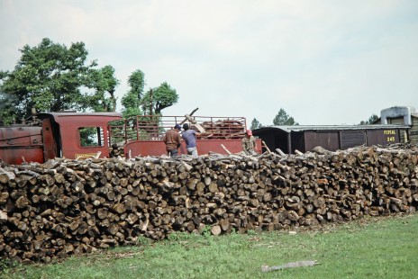 Workers toss logs from a pile into the tender of wood-burning Ferrocarril Presidente Carlos Antonio López (later Ferrocarriles del Paraguay SA FEPASA) steam locomotive in Coronel Bogado, Itapúa, Paraguay, on October 23, 1990. Photograph by Fred M. Springer, © 2014, Center for Railroad Photography and Art. Springer-SOAM1-24-08