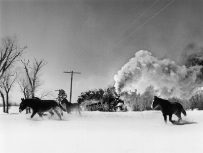 Horses run away as a whistling Denver & Rio Grande Western narrow gauge freight train approaches. The train, led by 2-8-2 steam locomotive no. 488 (with no. 492 pushing), is leaving Chama, New Mexico, bound for Alamosa, Colorado, on March 14, 1964. 

Read more about the <a href="http://www.railphoto-art.org/awards/2017-awards/" rel="noreferrer nofollow">2017 John E. Gruber Creative Photography Awards Program</a>.