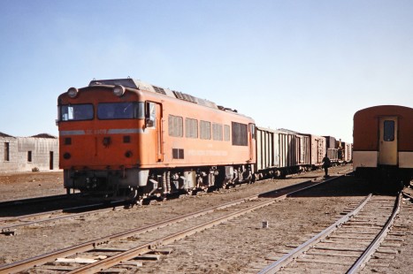 Empresa Nacional de Ferrocarriles Bolivia diesel locomotive no. DE 1009 sits in a yard area in central Chile as part of a trip between La Paz, Pedro Domingo Murillo, Bolivia and Arica, Arica, Chile on October 2, 1992. Photograph by Fred M. Springer, © 2014, Center for Railroad Photography and Art. Springer-ARG-PA-CHI-BO2-15-12
