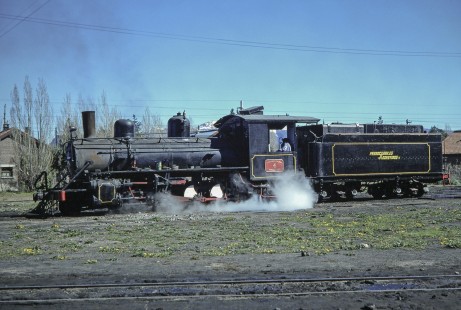 Viejo Expreso Patagónico (Old Patagonian Express) 2-8-2 steam locomotive no. 4 in El Maitén, Rio Negro, Argentina, on October 15, 1990. Photograph by Fred M. Springer, © 2014, Center for Railroad Photography and Art, Springer-SOAM1-14-18