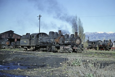 Viejo Expreso Patagónico (Old Patagonian Express) steam locomotives in a yard at El Maitén, Río Negro, Argentina, on October 15, 1990. © 2014, Center for Railroad Photography and Art, Photograph by Fred M. Springer. Springer-SOAM1-14-25
