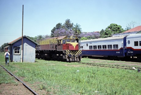Ferrocarril Noreste Argentino (Argentine North Eastern Railway) diesel locomotive no. 7908 and passenger coaches at Posades, Argentina, on October 22, 1990. Photograph by Fred M. Springer, © 2014, Center for Railroad Photography and Art, Springer-SOAM1-22-15