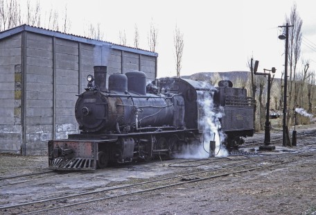 Viejo Expreso Patagónico (Old Patagonian Express) steam locomotive no. 115 in yard at Cerro Mesa, Río Negro, Argentina, on October 15, 1991. Photograph by Fred M. Springer.  © 2014, Center for Railroad Photography and Art, Springer-PA-BR-SOAM-ME-ARG2-24-28