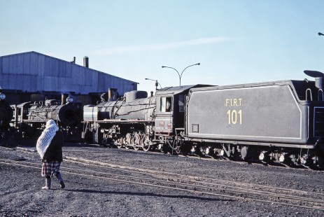 A woman walks past Ramal Ferro Industrial de Río Turbio Railway steam locomotive no. 101 at the yard in Rio Gallegos, Santa Cruz, Argentina, on October 17, 1990. Photograph by Fred M. Springer, © 2014, Center for Railroad Photography and Art, Springer-SOAM1-17-11