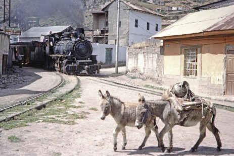 Two donkeys pass by Guayaquil-Quito Railway steam locomotive no. 44 in Alausi, Chimborazo, Ecuador, on July 24, 1988. Photograph by Fred M. Springer, © 2014, Center for Railroad Photography and Art, Springer-ECU1-07-29