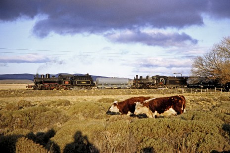 Viejo Expreso Patagónico (Old Patagonian Express) steam locomotives nos. 6 and 114 haul a freight train past a farm in Lepa, Chubut, Argentina, on October 12, 1991. © 2014, Center for Railroad Photography and Art, Photograph by Fred M. Springer. Springer-PA-BR-SOAM-ME-ARG2-21-17