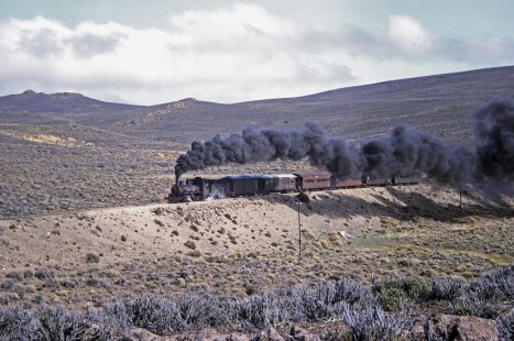 Viejo Expreso Patagónico (Old Patagonian Express) steam locomotive no. 4 hauls passenger train at kilometer 25.5 in Cerro Mesa, Río Negro, Argentina, on October 15, 1991. Photograph by Fred M. Springer, © 2014, Center for Railroad Photography and Art, Springer-PA-BR-SOAM-ME-ARG2-23-03