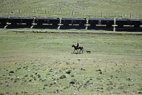 Ramal Ferro Industrial de Río Turbio coal train passes a man on horseback and a dog at kilometer post 240 in Río Turbio, Santa Cruz, Argentina, on October 18, 1990. Photograph by Fred M. Springer. © 2014, Center for Railroad Photography and Art, Springer-SOAM1-19-21