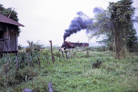 Guayaquil-Quito Railway steam locomotive no. 11 hauls mixed passenger and freight train in Casiguana, Guayas, Ecuador, on July 22, 1988. Photograph by Fred M. Springer,  © 2014, Center for Railroad Photography and Art, Springer-ECU1-01-03
