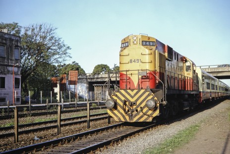 Ferrocarril Noreste Argentino (Argentine North Eastern Railway) diesel locomotive no. 8491 and passenger train at Saenz Pena in Buenos Aires, Argentina, on October 21, 1990. Photograph by Fred M. Springer, © 2014, Center for Railroad Photography and Art, Springer-SOAM1-21-33
