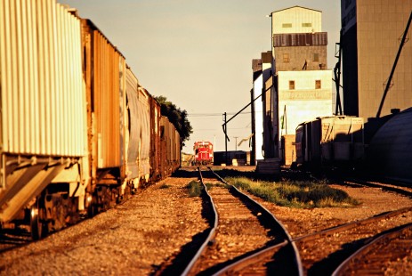 Northbound Soo Line Railroad freight train at Garrison, North Dakota, on July 7, 1980. Photograph by John F. Bjorklund, © 2016, Center for Railroad Photography and Art. Bjorklund-83-11-09