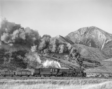 New Zealand Government Railways steam locomotive no. 1217 hauls freight between Arthur's Pass and Springfield, on the South Island of New Zealand on June 15, 1967. Photograph shot near Cass, New Zealand. Photograph by Victor Hand. Hand-NZGR-12-1118