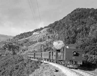 New Zealand Government Railways locomotive no. 648 leads mixed train between Rawanni and Greymouth on the South Island of New Zealand June 12, 1967. Photograph taken on Rewanu Incline. Photograph by Victor Hand. Hand-NZGR-12-1062.