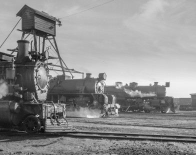 New Zealand Government Railways steam locomotive nos. 480 and 1201 in yard at Greymouth on the South Island of New Zealand on June 12, 1967. Photograph by Victor Hand. Hand-NZGR-12-1053