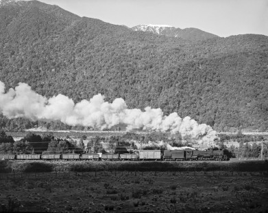 New Zealand Government Railways steam locomotive no. 1209 hauls eastbound freight near Aickens, New Zealand, on July 25, 1966. Photograph by Victor Hand. Hand-NZGR-10-839