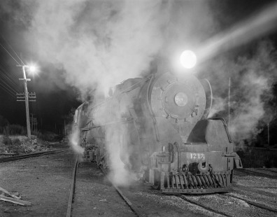 New Zealand Government Railways steam locomotive no. 1212 in yard at Otira on the South Island of New Zealand on July 22, 1966. Photograph by Victor Hand. Hand-NZGR-10-791