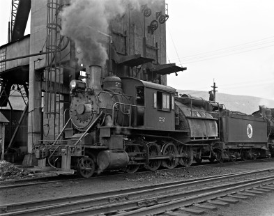 Portrait of Lehigh and New England 2-8-0 E-8 camelback steam locomotive 22 next to the coaling tower at Pen Argyl, Pennsylvania, on May 4, 1940. Photograph by Donald W. Furler, Furler-03-070-01, © 2017, Center for Railroad Photography and Art