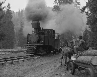Caile Ferate Forestiere Viseu de Sus  (Viseu de Sus Forestry Railway) steam locomotive no. 763-193 meets a horse-drawn wagon hauling timber near Moldovita, Caras-Severin, Romania, on October 3, 1996. Photograph by William Botkin. © 1996, William Botkin