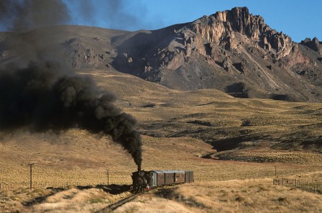 Ferrocarriles Argentinos (Argentine Railways) steam locomotive no. 16 leads passenger train north of El Maitén, Chubut, Argentina, on March 28, 1996. Photograph by Katherine Botkin. © 1996, Katherine Botkin