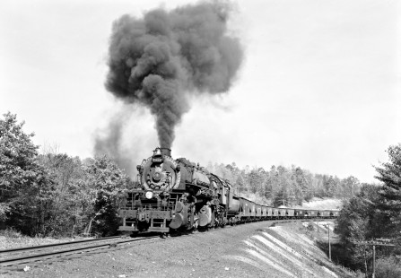 Baltimore and Ohio Railroad 2-8-8-0 steam locomotive no. 7121 leading a 65-car freight train south at Cloe, Pennsylvania, on October 25, 1954. Photograph by Donald W. Furler, Furler-14-009-01, © 2017, Center for Railroad Photography and Art