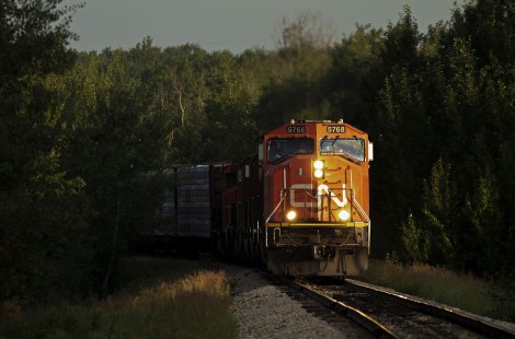 A thin shaft of early morning sunshine illuminates the lead unit of CN Train L506 at Roma Junction, Alberta, on July 11, 2019. The crew is preparing to take their train laden with products from the northern region of the province south on CN's Peace River Subdivision. © Trevor Sokolan
