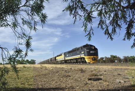 Southern Shorthaul Railroad S312 leads the Deniliquin rice train through the state of Victoria towards Melbourne, Australia, on March 7, 2019. © Richard Jahn