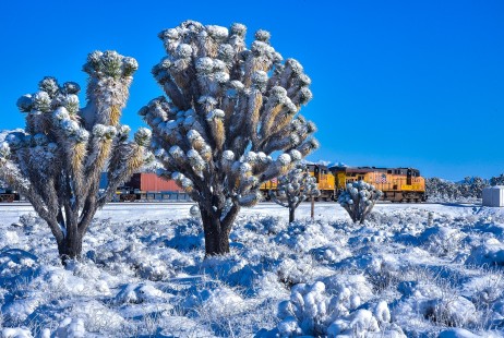 Snow at the summit of Cima Hill, with an eastbound stack train on the Union Pacific Cima Sub. © Ben Bachman