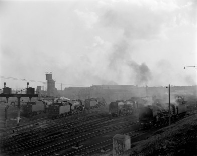 French National Railways Le Mans engine terminal with steam locomotives in view at Le Mans, Sarthe, France, on July 7, 1963. Photograph by Victor Hand, Hand-SNCF-02-0238