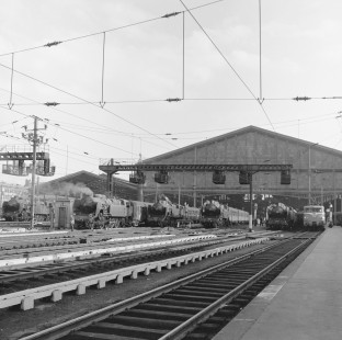 French National Railways group of steam locomotives from left to right no. 141-TC13,  no. 141-TC12, no. 141-TC41,  and no. 141-TC36 at Paris Nord, Île-de-France, France on July 10, 1962. Photograph by Victor Hand, Hand-SNCF-X14-244