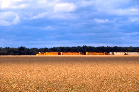 Rochester & Southern salt train heading across the farmers fields outside of Mt. Morris, NY. 
October 8, 2020