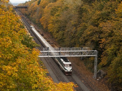 Amtrak <i>Cascades</i> train 517 passes colorful autumn trees in North Portland, Oregon, on its run from Seattle to Eugene on Halloween 2010. Photograph by Scott Lothes, president and executive director of the Center for Railroad Photography & Art