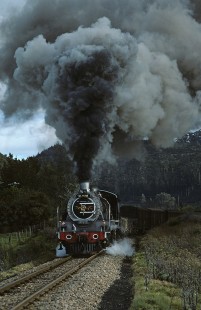 A South African Railways 24-class steam locomotive leads an eastbound passenger train at Goukamma, a railroad siding in Cape Province (present-day Western Cape), South Africa, on July 19, 1984. Photograph by Katherine Botkin. BOTKINK-113-KT-55, © 1984, Katherine Botkin.