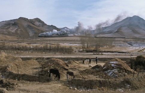 Two QJ-class steam locomotives lead train eastbound freight on the Jitong Railway near Hadashan, Inner Mongolia, China, on November 18, 2002. Photograph by Katherine Botkin. BOTKINK-103-KT-123, © 2002, Katherine Botkin.