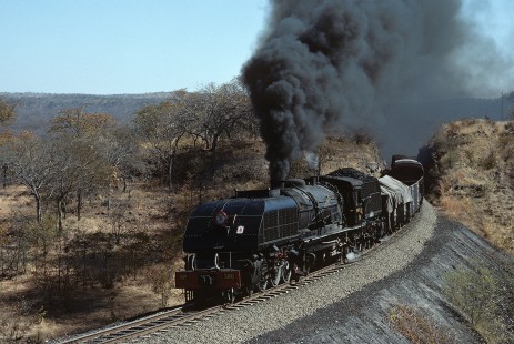 National Railways of Zimbabwe 15th-class steam locomotive no. 380 hauls freight northbound near Zanguja, Matabeleland North, Zimbabwe, on July 6, 1990. Photograph by Katherine Botkin. BOTKINK-114-KT-28, © 1990, Katherine Botkin