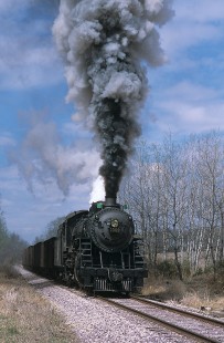 Soo Line Railroad steam locomotive no. 1003 hauls chartered freight train eastbound on the Wisconsin and Southern Railroad near Sunset Beach Road, west of Beaver Dam, Wisconsin, on April 23, 2005. Photograph by Katherine Botkin. BOTKINK-51-KT-27, © 2005, Katherine Botkin.