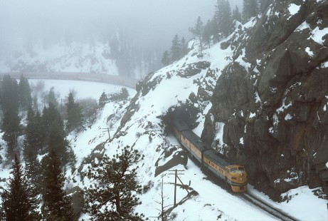 Denver and Rio Grande Western Railroad diesel locomotive no. 5771 leads the westbound Ski Train out of Tunnel 29 at Cliff, Colorado, on April 1, 1984. Photograph by William Botkin, BOTKINW-8-WT-948 © 1984, William Botkin.