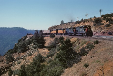 Southern Pacific Railroad locomotive no. 9187 hauls freight at Casa Loma, California, on September 22, 1974. Photograph by William Botkin, BOTKINW-18-WT-42 © 1974, William Botkin.