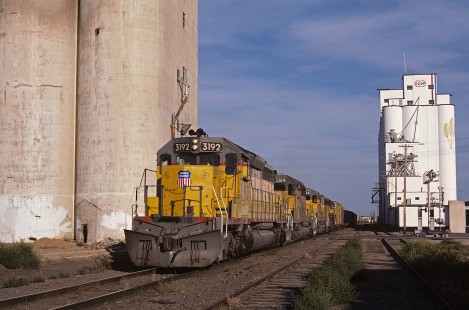 Union Pacific Railroad locomotive no. 3192 hauls westbound freight train no. 117 at Hays, Kansas, at 6:50 pm, on August 27, 1986. Photograph by William Botkin, BOTKINW-19-WT-435 © 1986, William Botkin.