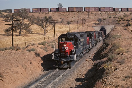 Southern Pacific Railroad locomotive no. 5304 hauls westbound freight at the Tehachapi Loop in Walong, California, on September 26, 1974. Photograph by William Botkin, BOTKINW-18-WT-72 © 1974, William Botkin.
